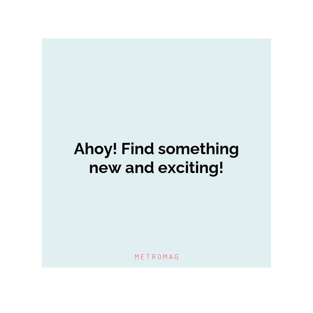 Ahoy! Find something new and exciting!