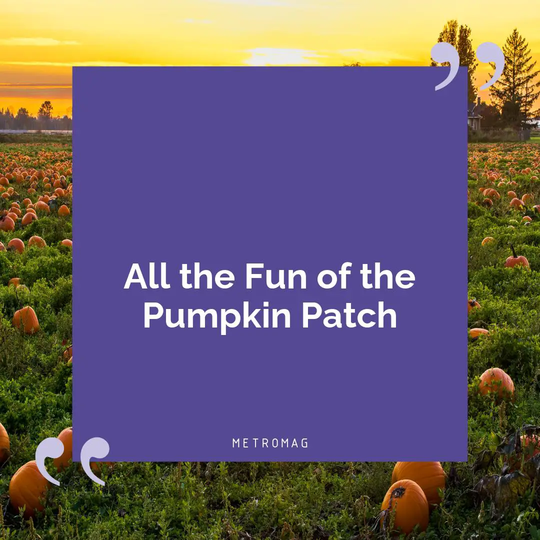All the Fun of the Pumpkin Patch