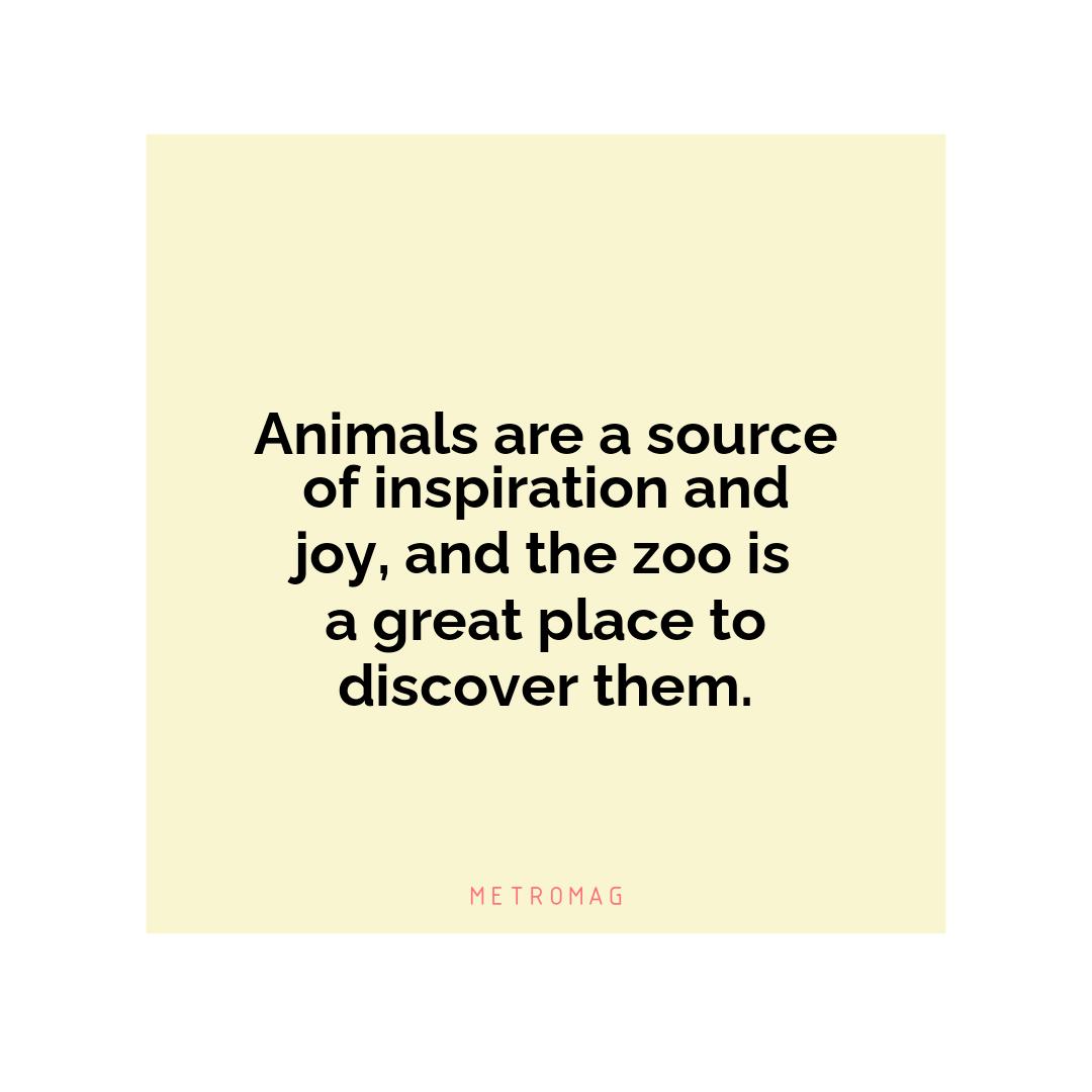 Animals are a source of inspiration and joy, and the zoo is a great place to discover them.