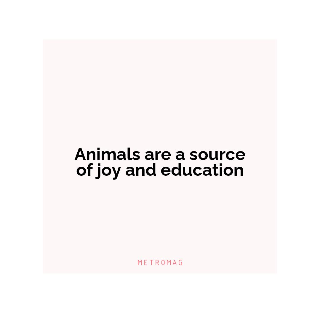 Animals are a source of joy and education