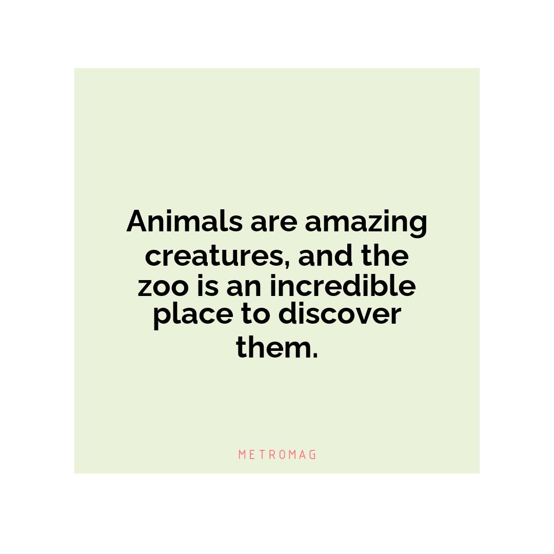 Animals are amazing creatures, and the zoo is an incredible place to discover them.