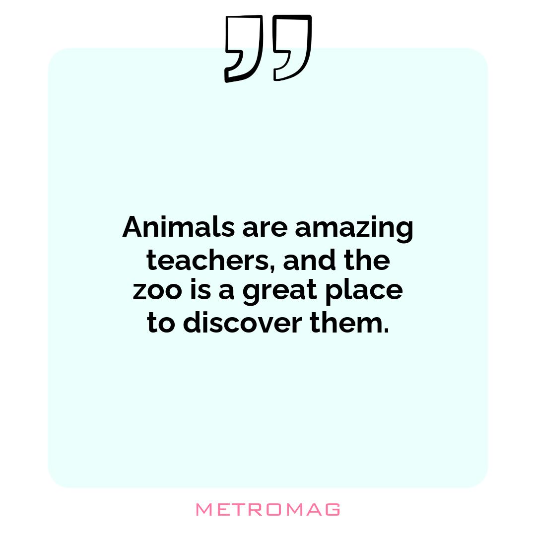 Animals are amazing teachers, and the zoo is a great place to discover them.