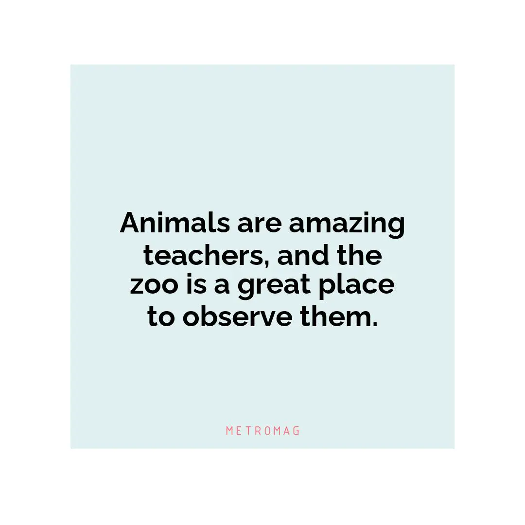 Animals are amazing teachers, and the zoo is a great place to observe them.