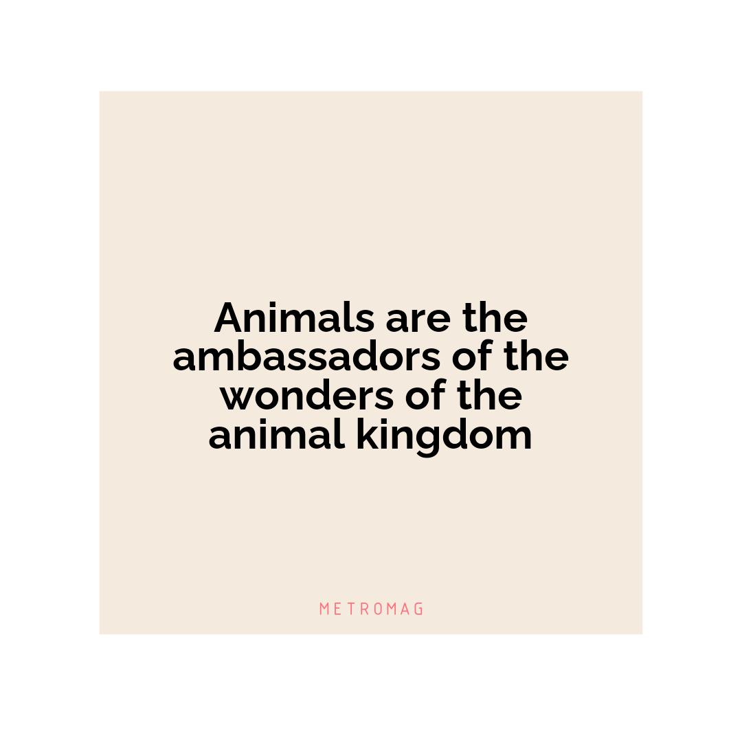Animals are the ambassadors of the wonders of the animal kingdom
