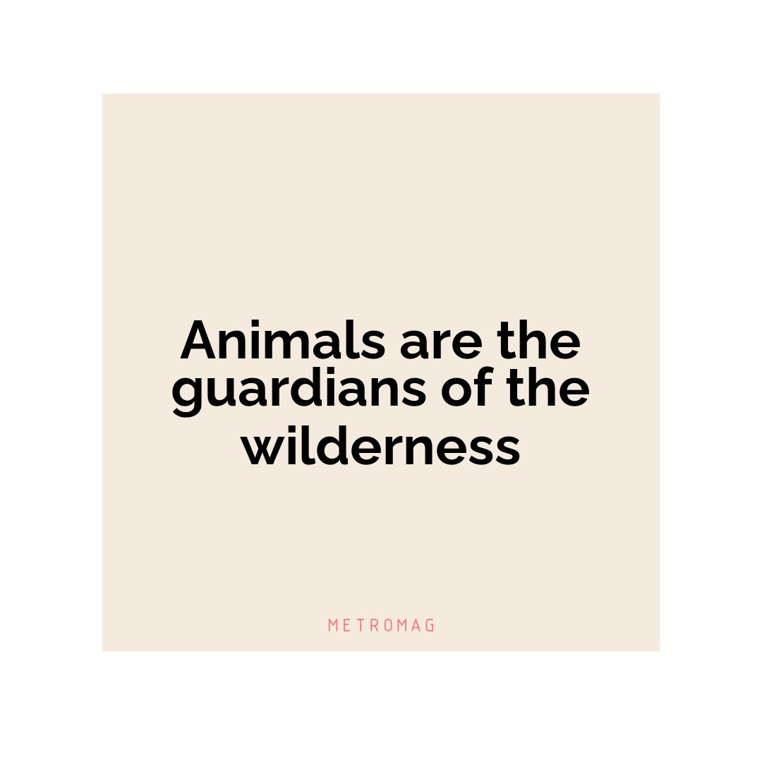 Animals are the guardians of the wilderness