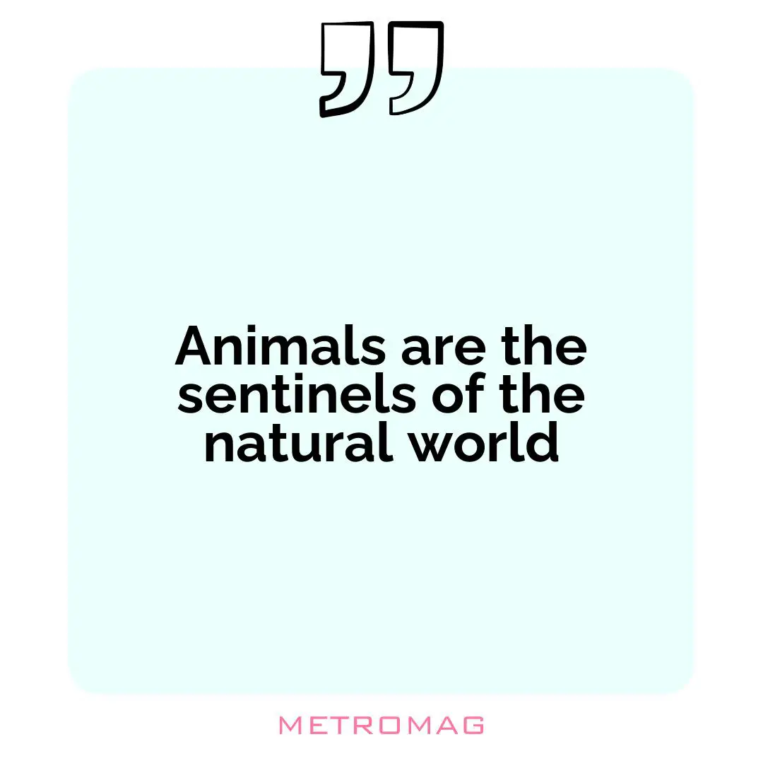 Animals are the sentinels of the natural world