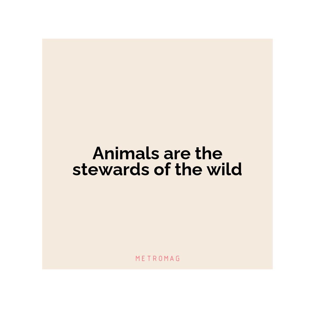 Animals are the stewards of the wild