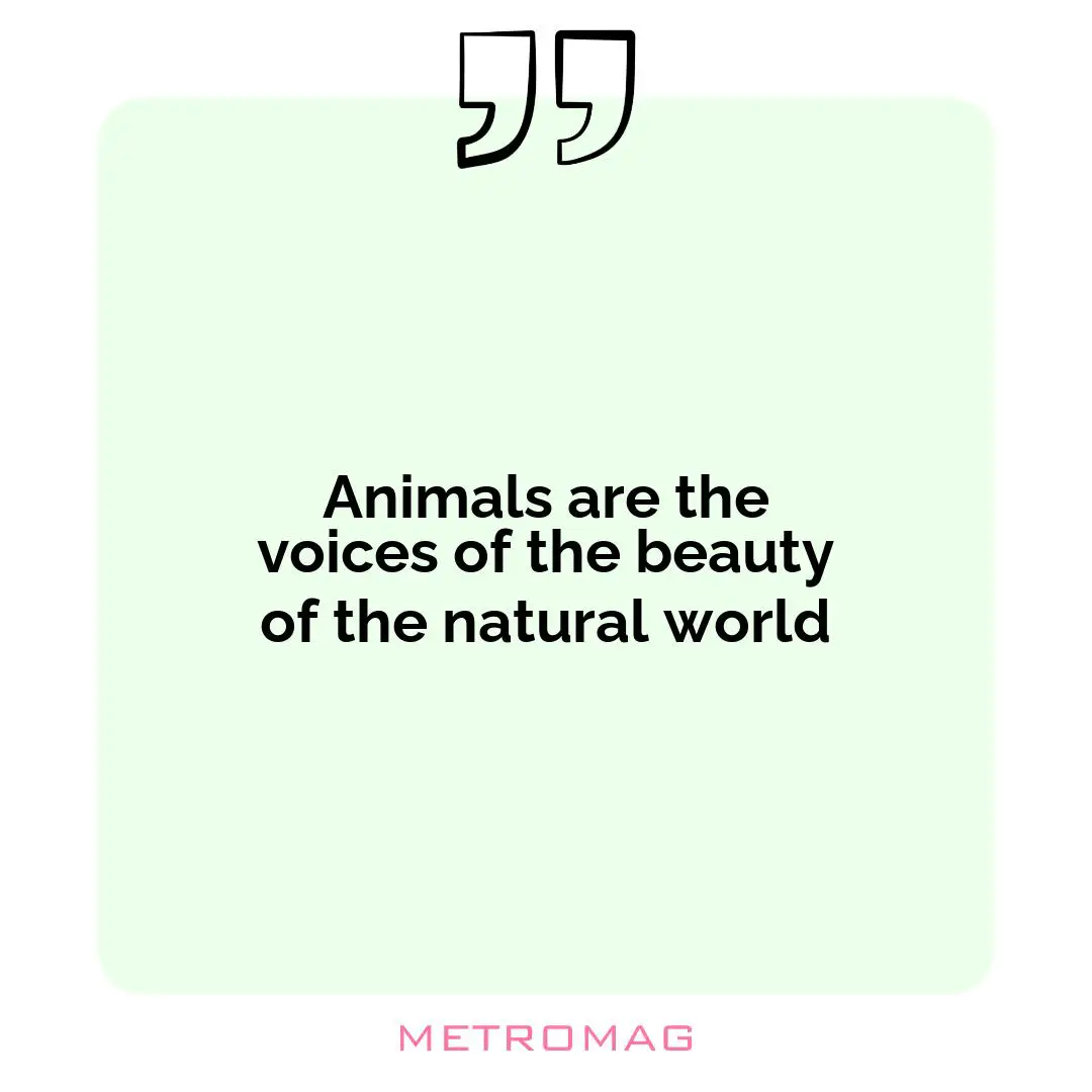Animals are the voices of the beauty of the natural world