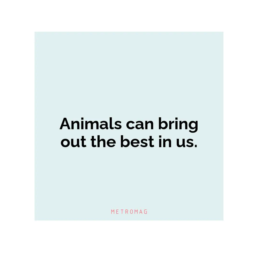 Animals can bring out the best in us.