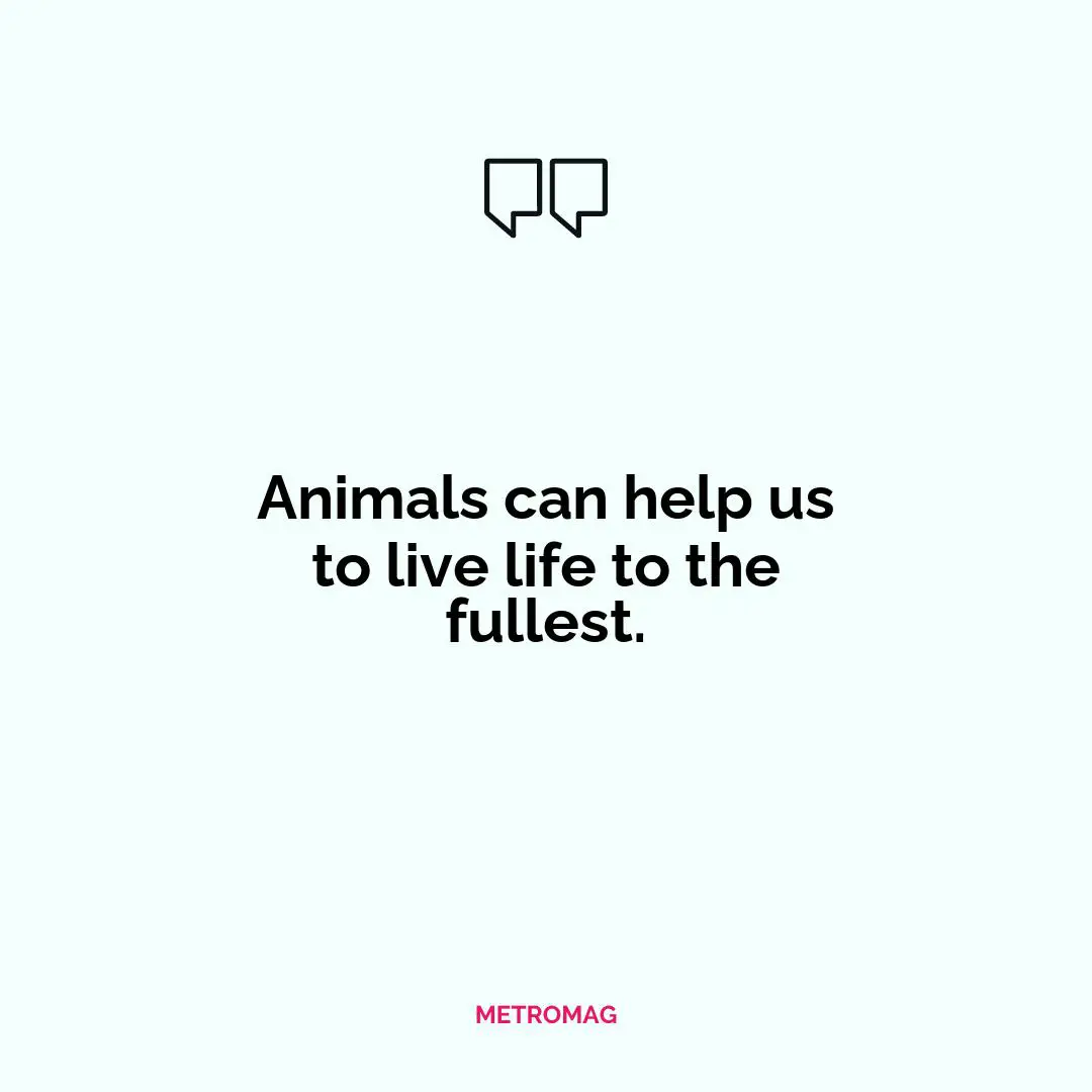 Animals can help us to live life to the fullest.