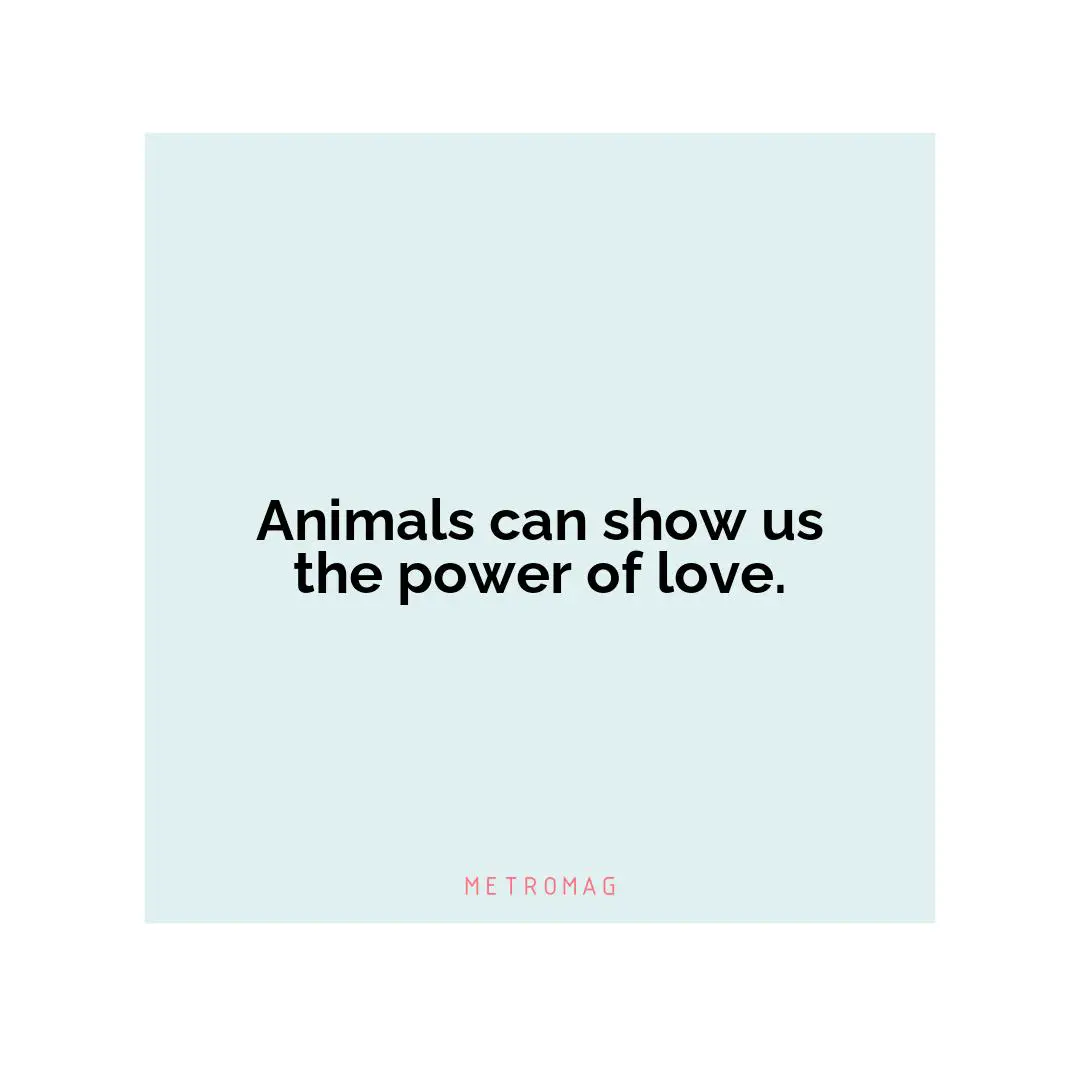 Animals can show us the power of love.