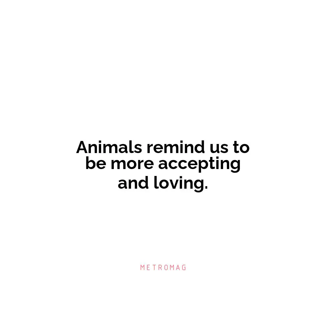 Animals remind us to be more accepting and loving.