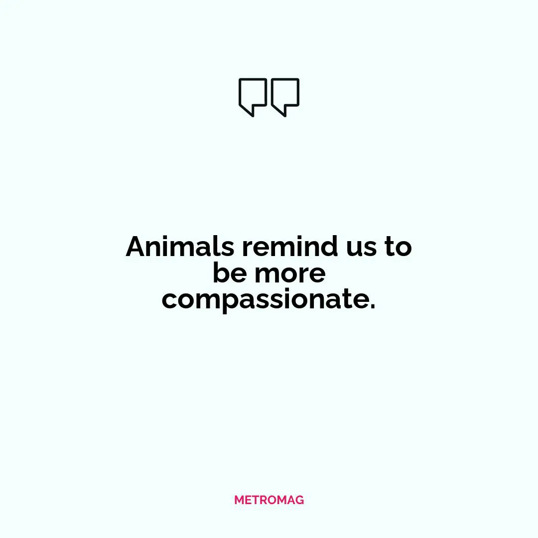 Animals remind us to be more compassionate.