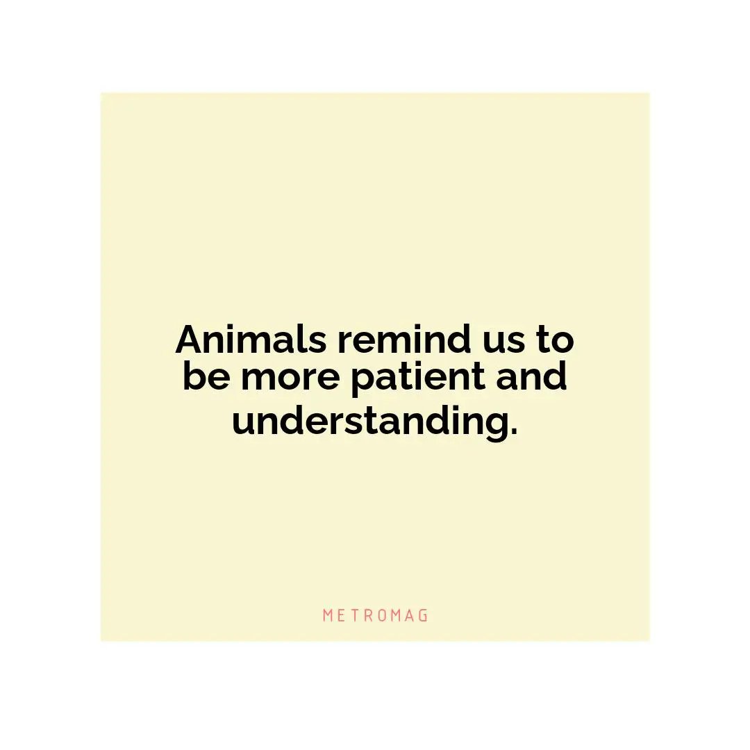 Animals remind us to be more patient and understanding.