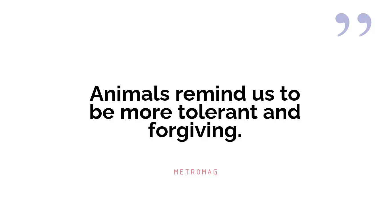 Animals remind us to be more tolerant and forgiving.