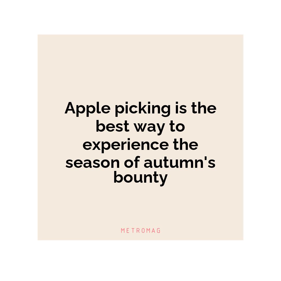 Apple picking is the best way to experience the season of autumn's bounty
