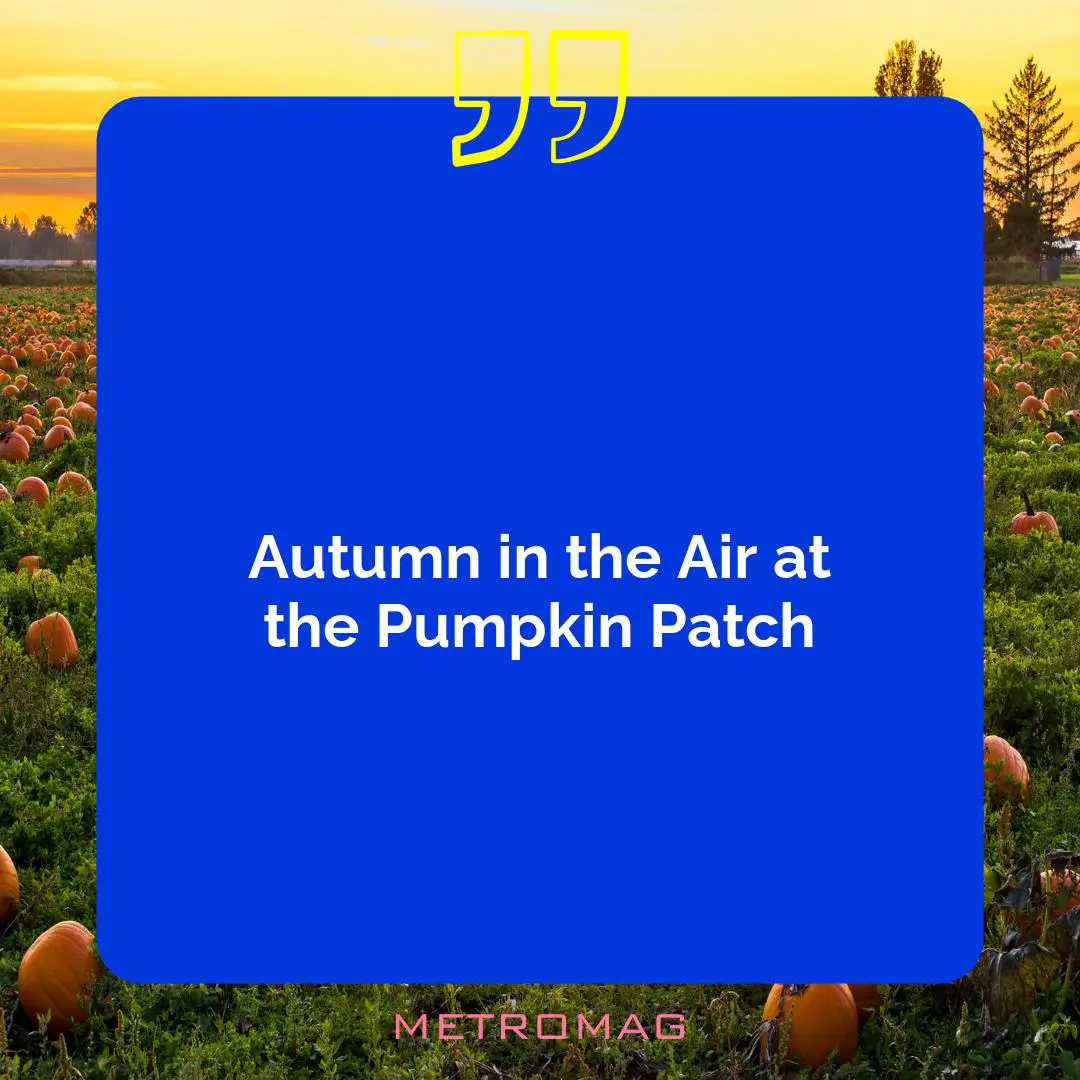 Autumn in the Air at the Pumpkin Patch