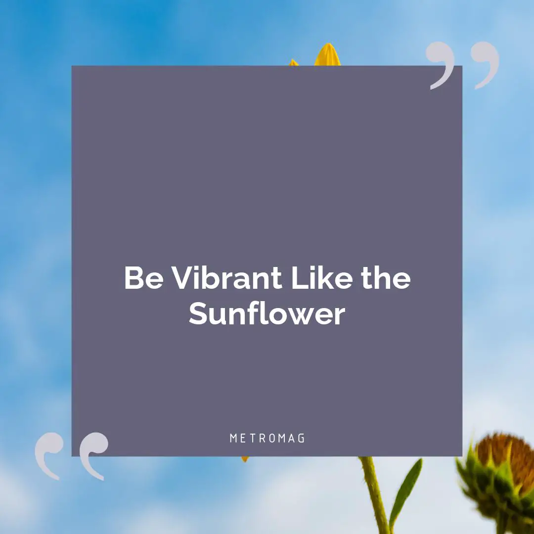 Be Vibrant Like the Sunflower