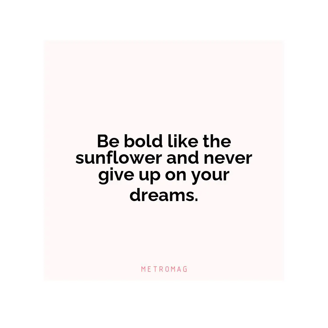 Be bold like the sunflower and never give up on your dreams.