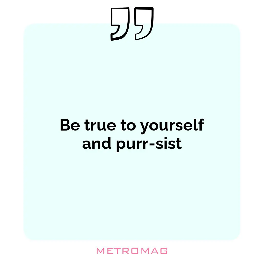 Be true to yourself and purr-sist