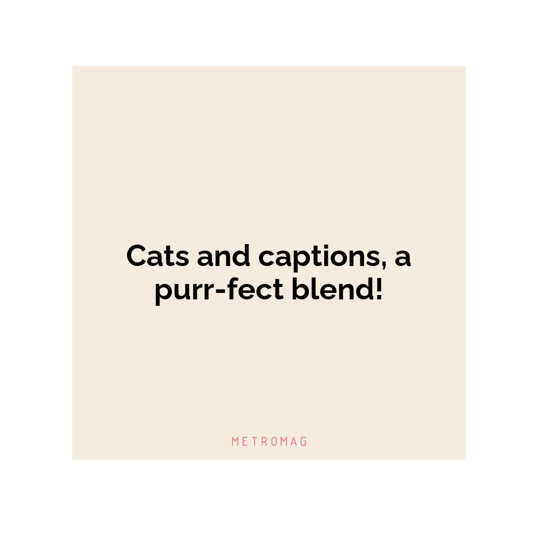 Cats and captions, a purr-fect blend!