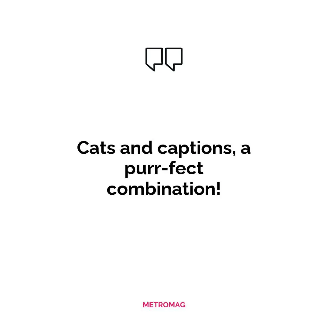 Cats and captions, a purr-fect combination!