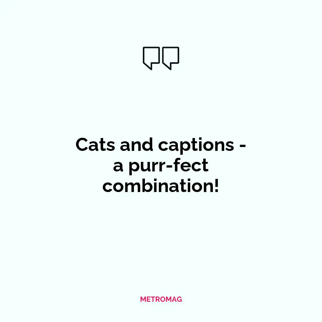 Cats and captions - a purr-fect combination!