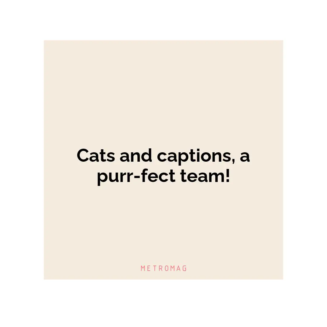 Cats and captions, a purr-fect team!