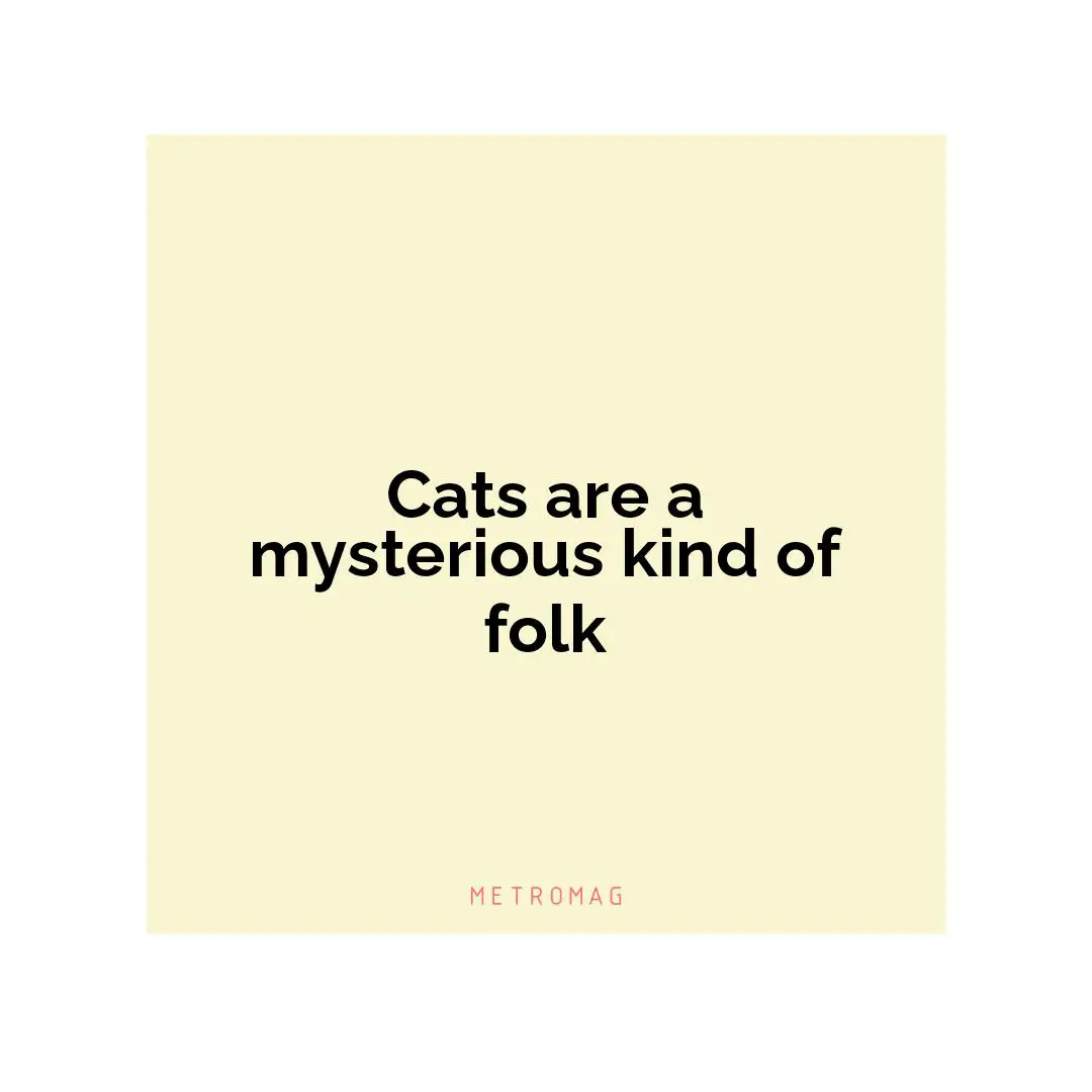 Cats are a mysterious kind of folk