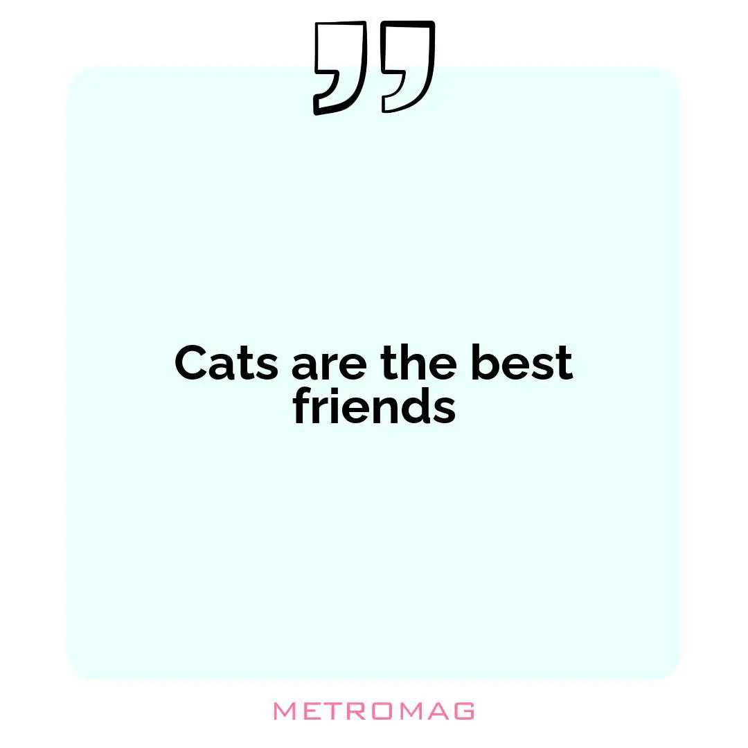 Cats are the best friends