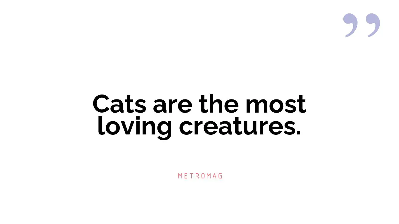 Cats are the most loving creatures.