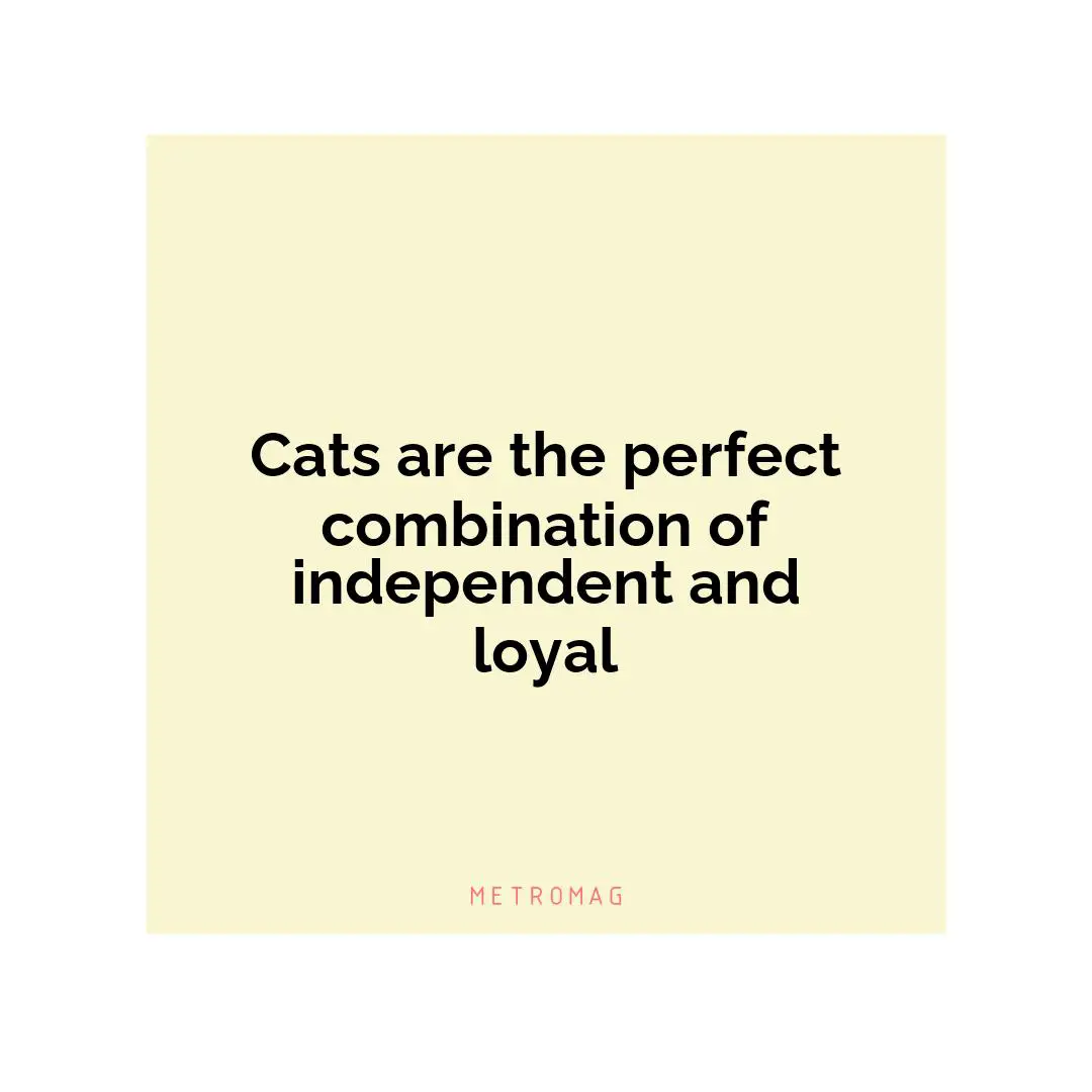 Cats are the perfect combination of independent and loyal