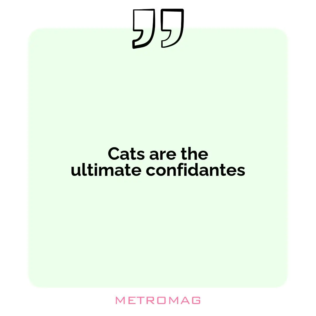 Cats are the ultimate confidantes