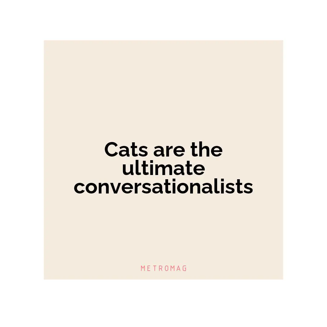 Cats are the ultimate conversationalists