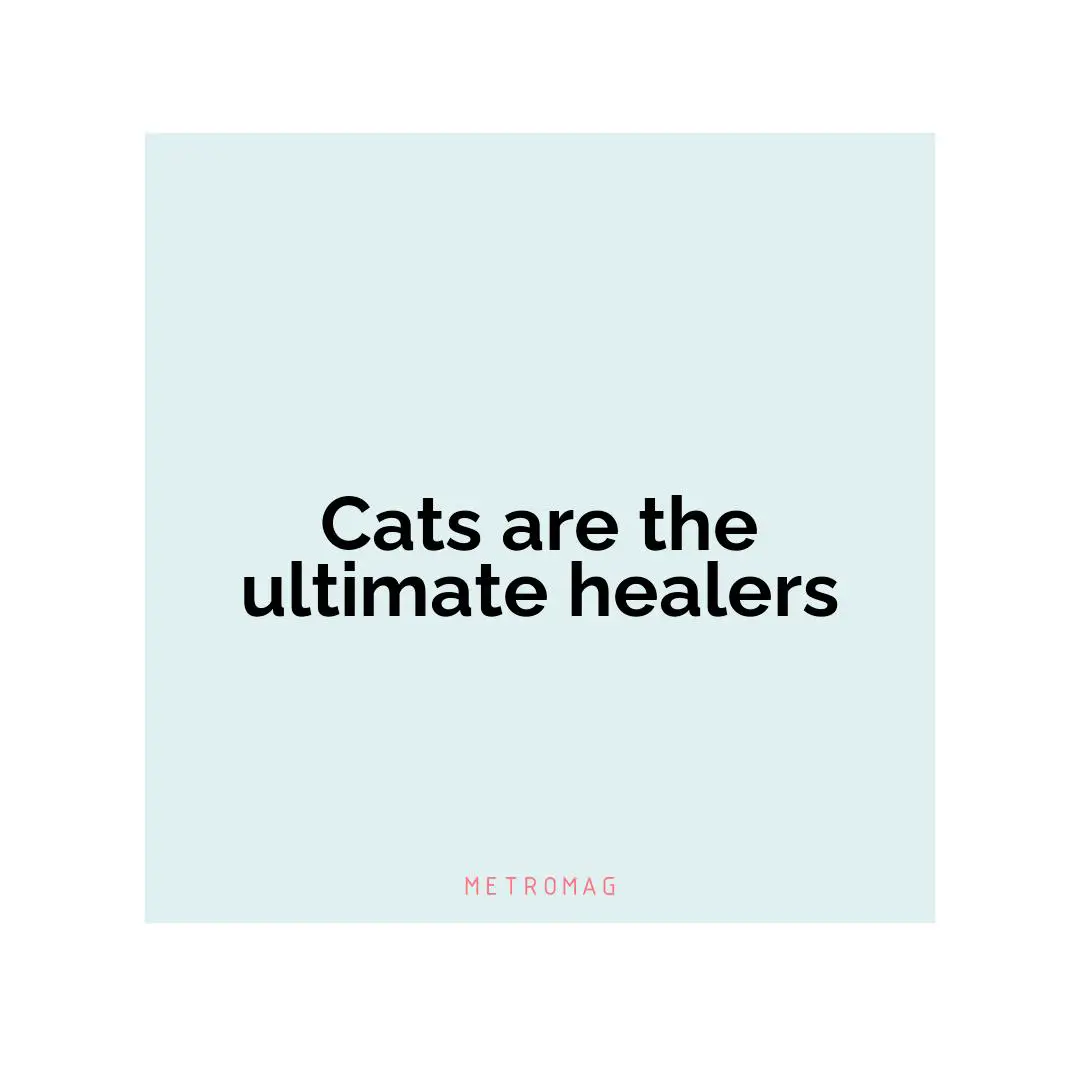 Cats are the ultimate healers