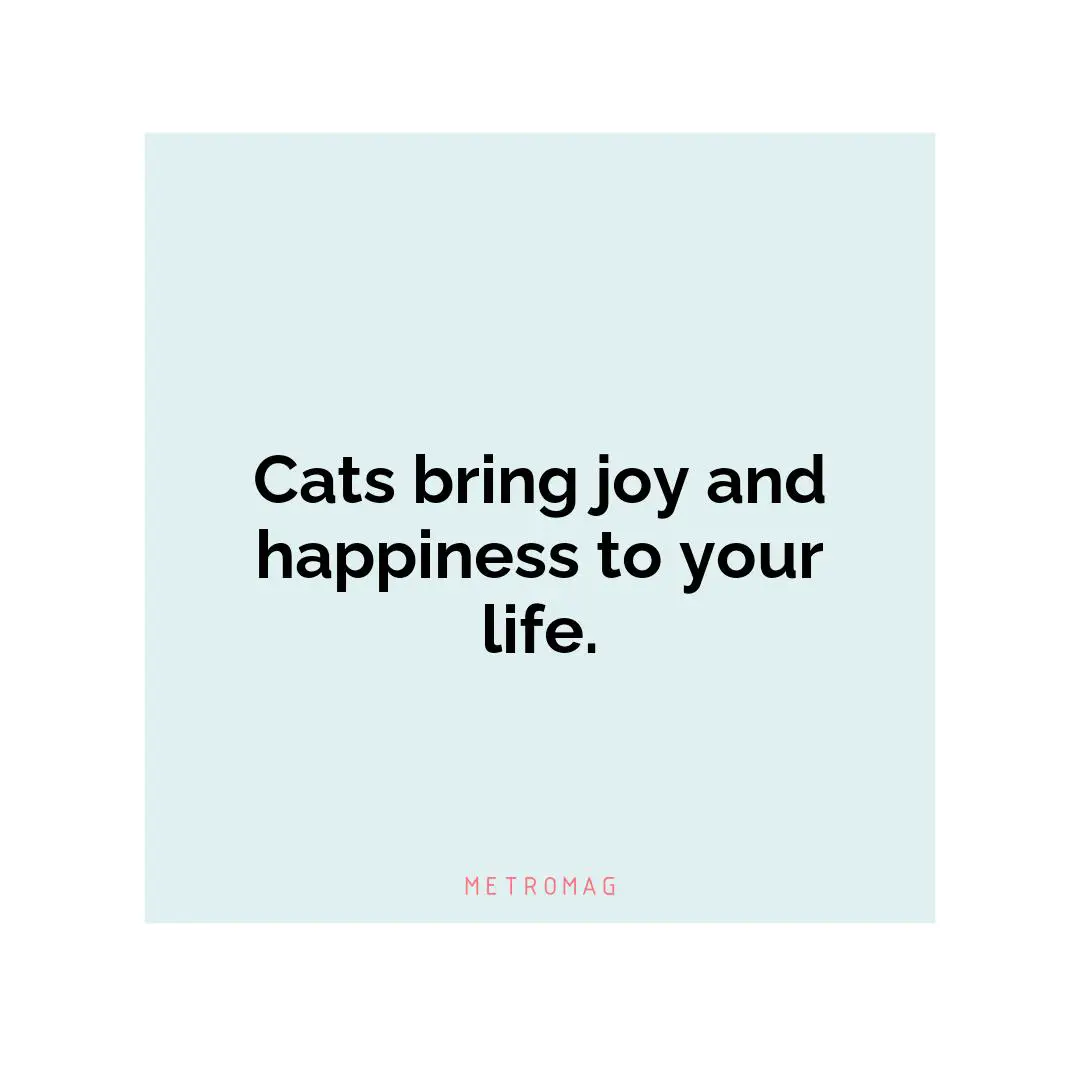 Cats bring joy and happiness to your life.