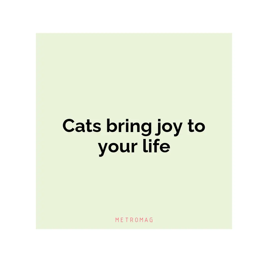 Cats bring joy to your life