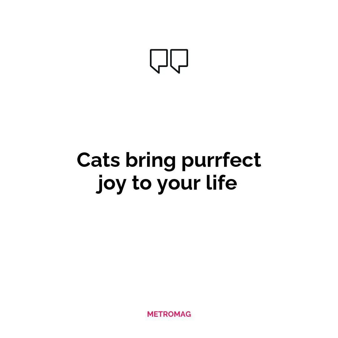 Cats bring purrfect joy to your life