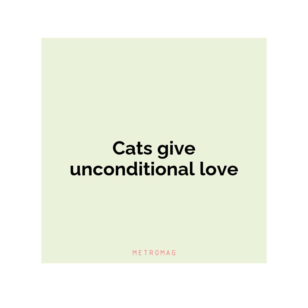 Cats give unconditional love