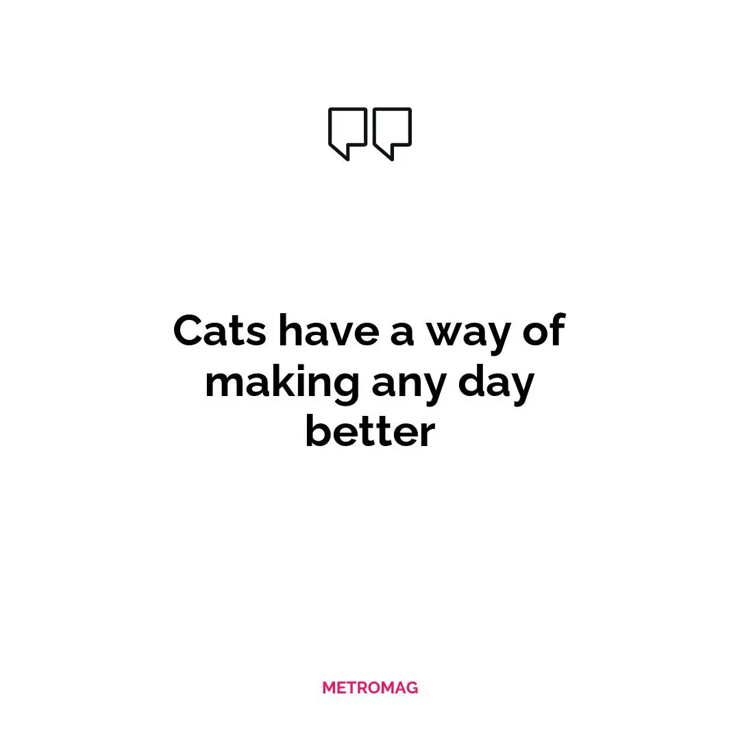 Cats have a way of making any day better
