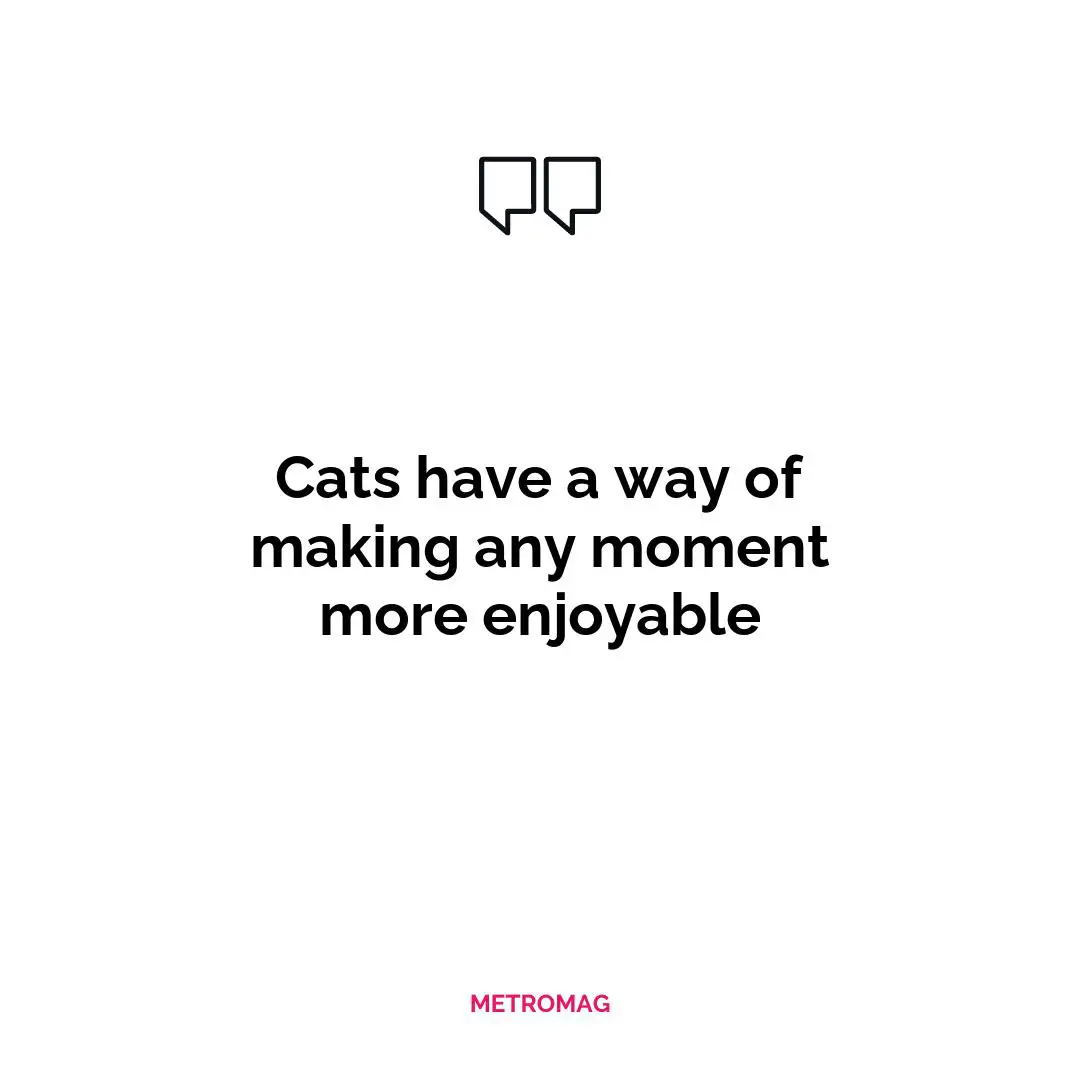 Cats have a way of making any moment more enjoyable