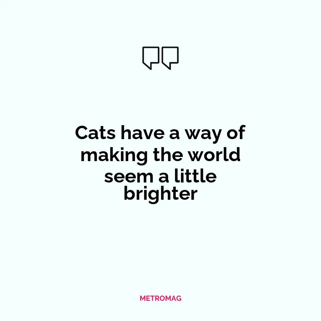 Cats have a way of making the world seem a little brighter