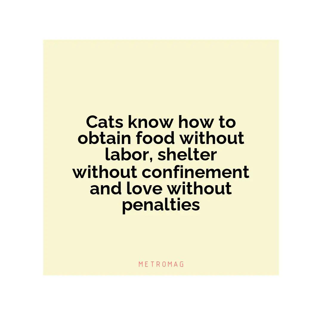 Cats know how to obtain food without labor, shelter without confinement and love without penalties