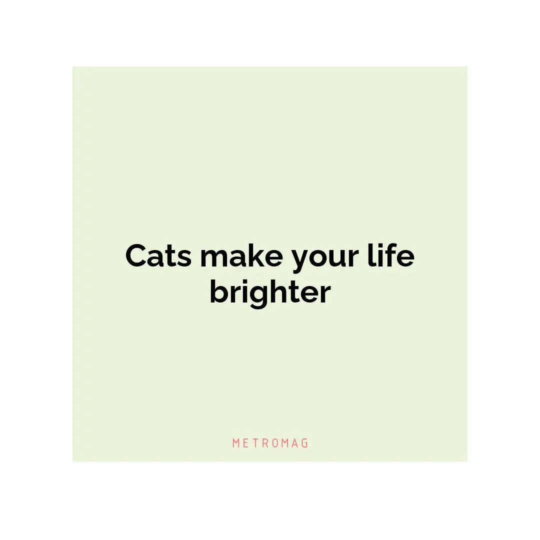 Cats make your life brighter