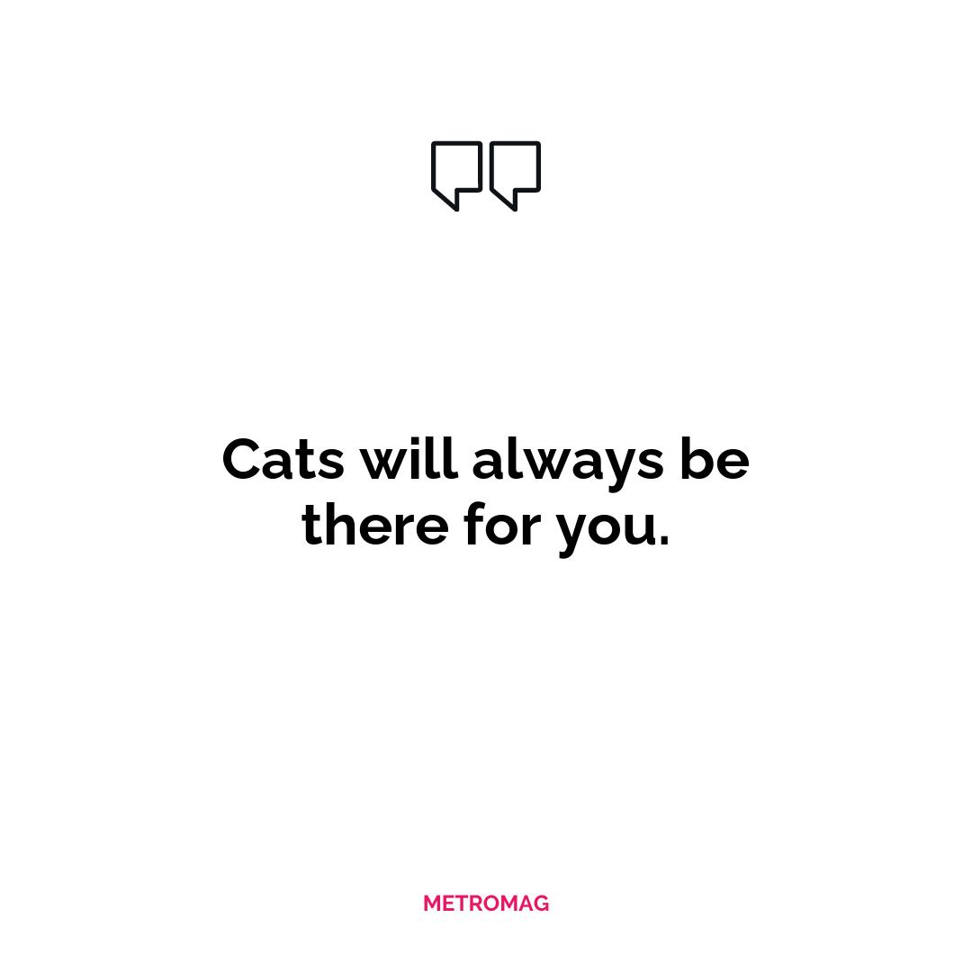 Cats will always be there for you.