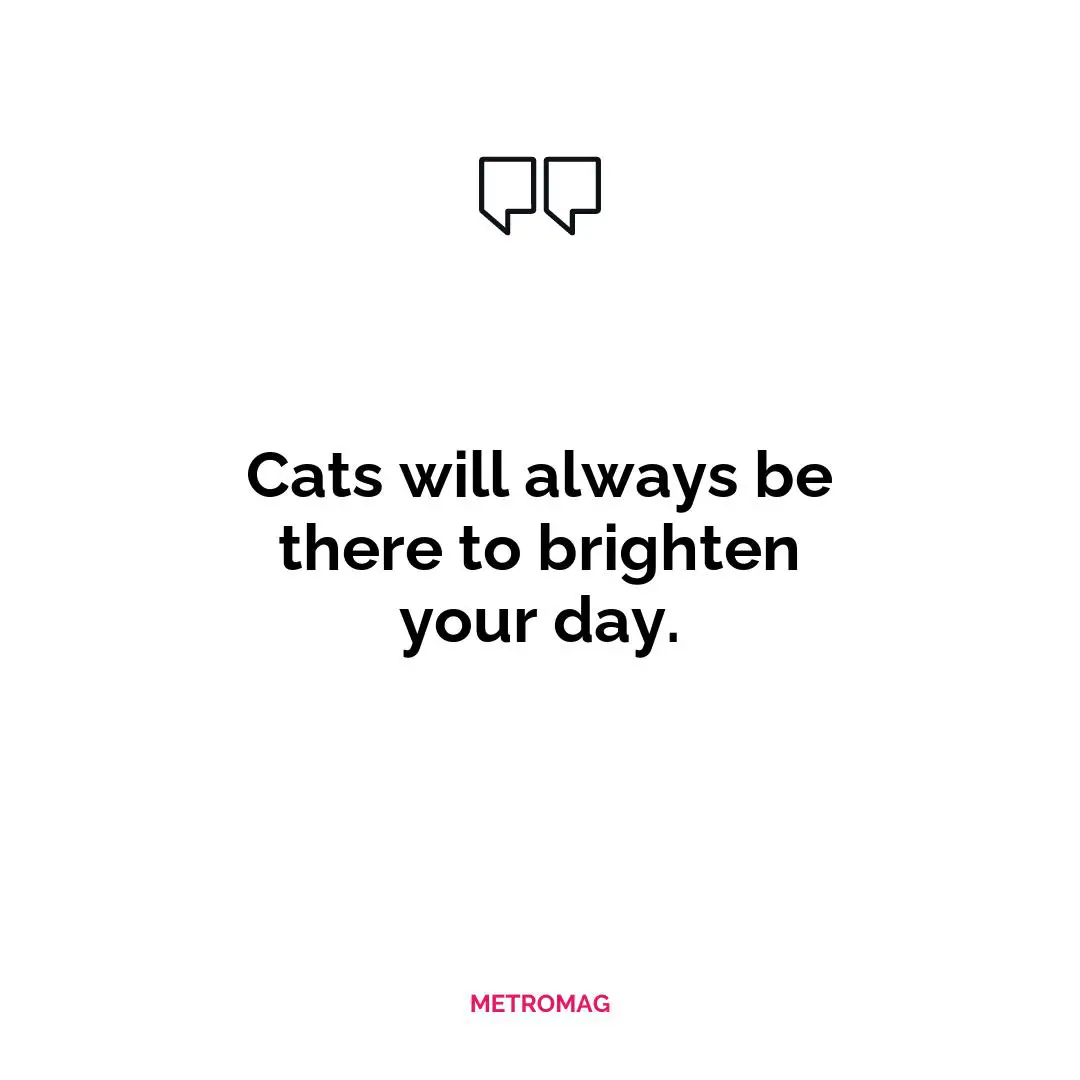 Cats will always be there to brighten your day.