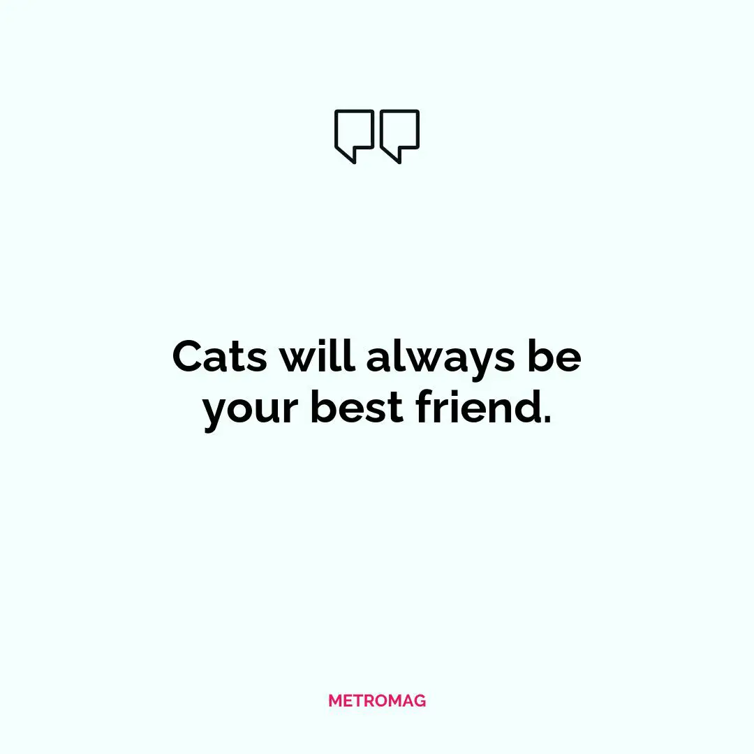 Cats will always be your best friend.
