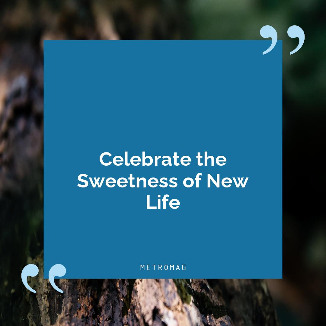 Celebrate the Sweetness of New Life