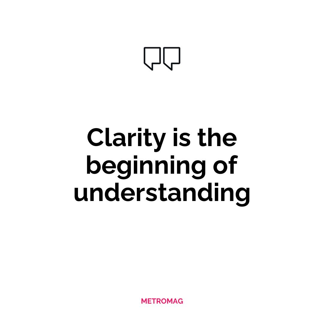 Clarity is the beginning of understanding