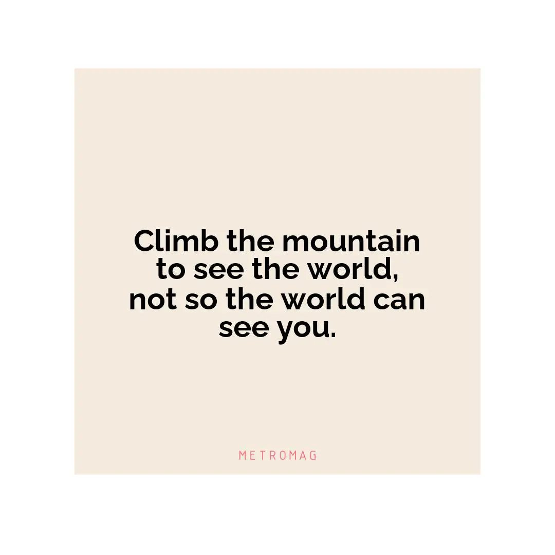 Climb the mountain to see the world, not so the world can see you.